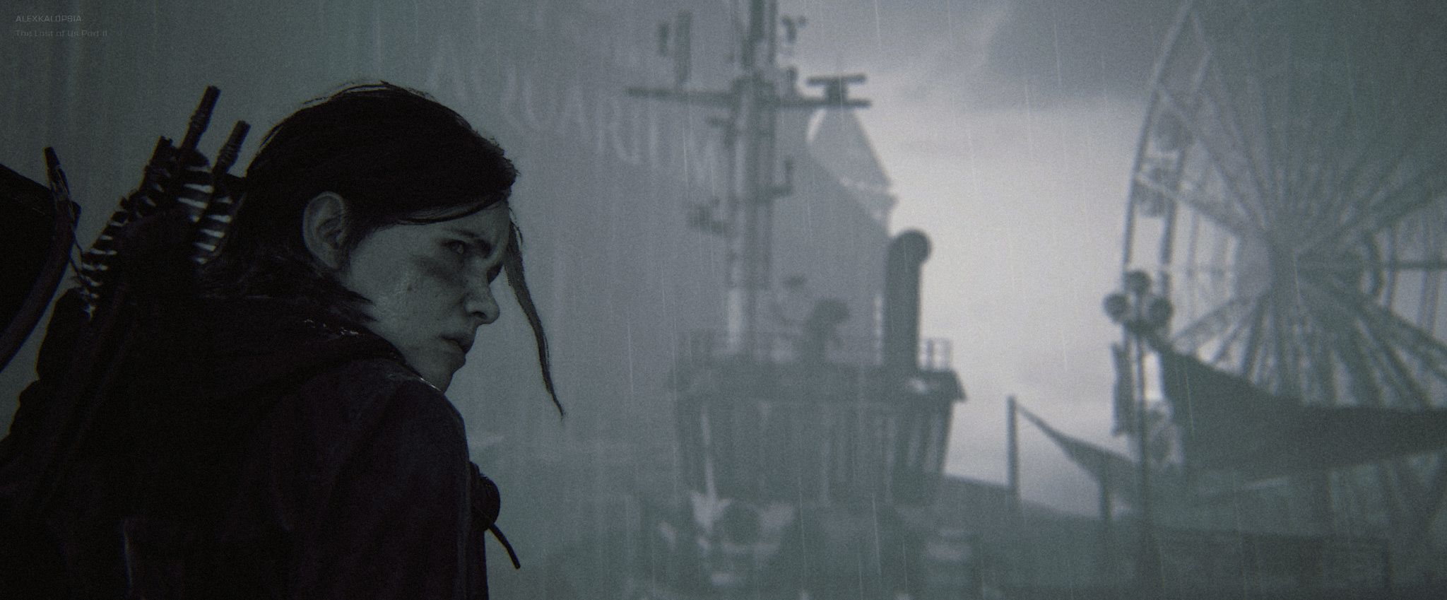 The Last of Us Part  II 06